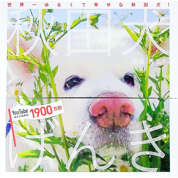 【中古】秋田犬げんき / 保坂秀幸