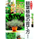 【中古】やさしい観葉植物の育て方 / 尾崎章