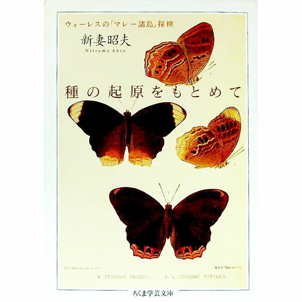 【中古】種の起原をもとめて / 新妻昭夫