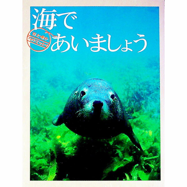 【中古】海であいましょう / 井上慎也
