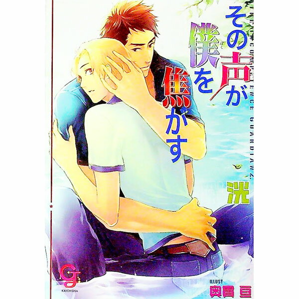 【中古】その声が僕を焦がす / 洸 ボーイズラブ小説 (文庫)