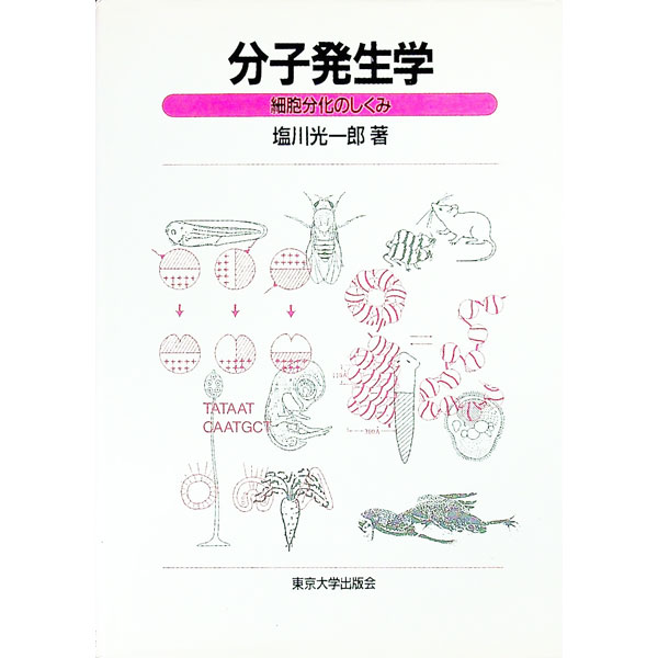 【中古】分子発生学 / 塩川光一郎