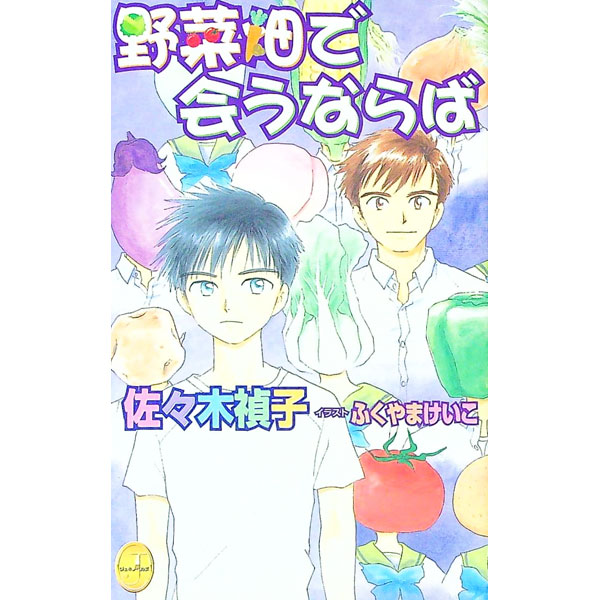 Hakusensha Hanamaru Library - 【中古】野菜畑で会うならば / 佐々木禎子 ボーイズラブ小説