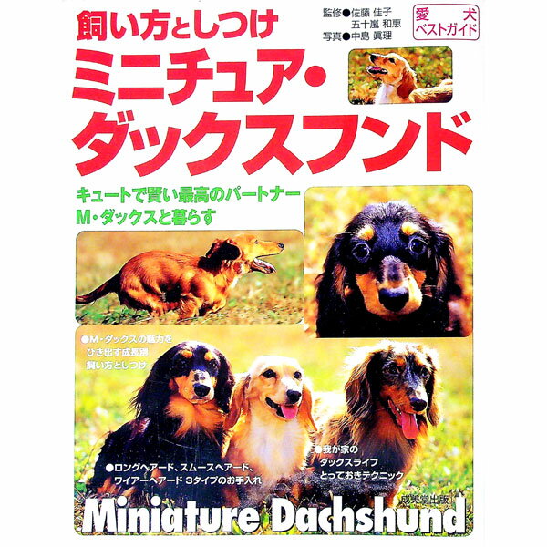 【中古】ミニチュア・ダックスフンド / 中島真理