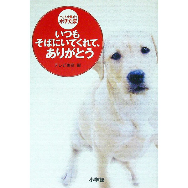 【中古】 いつもあなたがそばに 楽天市場】be with you いつもそばにの通販