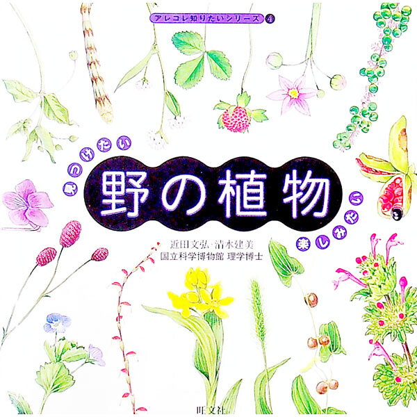 &nbsp;&nbsp;&nbsp; 野の植物 単行本 の詳細 出版社: 旺文社 レーベル: アレコレ知りたいシリーズ 作者: 清水建美 カナ: ノノショクブツ / シミズタテミ サイズ: 単行本 ISBN: 4010550562 発売日: 2000/04/01 関連商品リンク : 清水建美 旺文社 アレコレ知りたいシリーズ