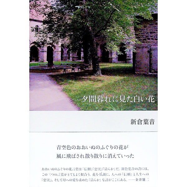 【中古】夕間暮れに見た白い花 / 新倉葉音 (単行本)