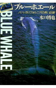 【中古】ブルーホエール / 水口博也