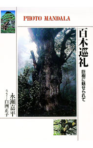 ����š�ɴ�ڽ���—�����̥������ / ������ʿ (ñ����)