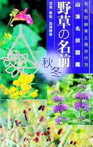【中古】野草の名前 秋冬/ 高橋勝雄
