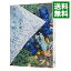 【中古】キリエのうた / 岩井俊二 681円