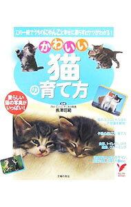 &nbsp;&nbsp;&nbsp; "かわいい猫の育て方　この一冊でうちのにゃんこと幸せに暮らすヒケツがわかる！ " の詳細 出版社: 主婦の友社 レーベル: セレクトBOOKS 作者: 長沢昭範 カナ: カワイイネコノソダテカタコノイッサツデウチノニャンコトシアワセニクラスヒケツガワカル / ナガサワアキノリ サイズ: 単行本 関連商品リンク : 長沢昭範 主婦の友社 セレクトBOOKS