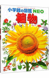 【中古】植物 / 岡田比呂実