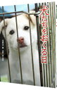 【中古】犬たちをおくる日 / 今西乃子