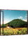 【中古】【全品10倍!5/10限定】股旅 / 奥田民生 275円