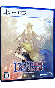 šPS5ɥﵭݥǥɥåȡ󡦥ӥ󥹡