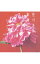 【中古】笹川美和/ 事実 (CCCD) 213円