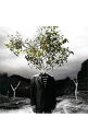 【中古】9mm Parabellum Bullet/ Revolutionary