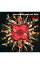 【中古】UA/ 【2CD】FINE FEATHERS MAKE FINE BIRDS 155円
