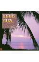 【中古】UBUD dua / UBUD