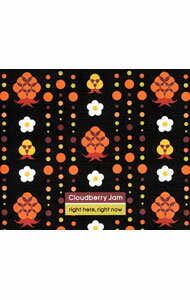 &nbsp;&nbsp;&nbsp; 【CD＋DVD】RIGHT　HERE，RIGHT　NOW　（初回限定盤） の詳細 カテゴリ: 中古CD ジャンル: 海外のロック＆ポップス 海外のアーティスト 発売元: ユニバーサルミュージック アーティスト名: クラウドベリー・ジャム カナ: ライトヒアライトナウ RIGHT HERE, RIGHT NOW / クラウドベリージャム CLOUDBERRY JAM ディスク枚数: 2枚 品番: HJCV3 発売日: 2006/10/04 ENG: CLOUDBERRY JAM RIGHT HERE, RIGHT NOW 曲名Disc-11.　I　take　you　where　you　wanna　go2.　So　happy3.　I　sit　a　while　considering4.　Signs　from　times　of　brokenhearts5.　My　ever　changing　moods6.　Beauty　of　your　smile7.　No　one　else　to　blame8.　United9.　Mesmerized10.　My　tears11.　Coming　back12.　At　the　arena（the　end） 関連商品リンク : クラウドベリー・ジャム ユニバーサルミュージック