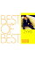 【中古】ZYYG/ BEST OF BEST 1000 ZYYG 1,804円