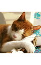 【中古】睡眠浴−倍音浴2 / 牧野持侑