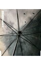 【中古】DOES/ 曇天
