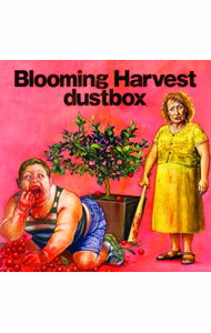 【中古】dustbox/ Blooming　Harvest