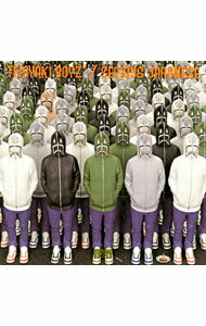 【中古】TERIYAKI　BOYZ/ SERIOUS　JAPANESE