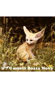 【中古】GHIBLI MEETS BOSSA NOVA / オムニバス