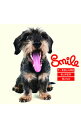 【中古】Smile / T−SQUARE　SUPER　BAND