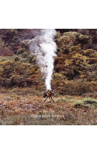 【中古】HIGH　BONE　MUSCLE/ beacon