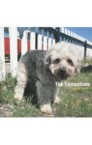 【中古】ハウ・ドゥ・ウィ・ドゥ？ / トランポリンズ