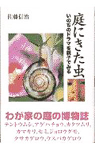 &nbsp;&nbsp;&nbsp; 庭にきた虫 単行本 の詳細 カテゴリ: 中古本 ジャンル: 産業・学術・歴史 動物 出版社: 農山漁村文化協会 レーベル: 人間選書 作者: 佐藤信治 カナ: ニワニキタムシ / サトウノブハル サイズ: 単行本 ISBN: 4540970607 発売日: 1997/09/01 関連商品リンク : 佐藤信治 農山漁村文化協会 人間選書