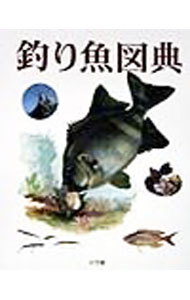 【中古】釣り魚図典 / 成沢哲夫