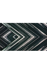 【中古】【Blu−ray】SAKANAQUARIUM　2015−2016“NF　Records　launch　tour”−LIVE　at　NIPPON　BUDOKAN　2015．10．27− / サカナクション【出演】