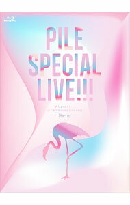 Music - 【中古】【Blu−ray】Pile　SPECIAL　LIVE！！！「P．S．ありがとう．．．」at　TOKYO　DOME　CITY　HALL / ジャパニーズポップス