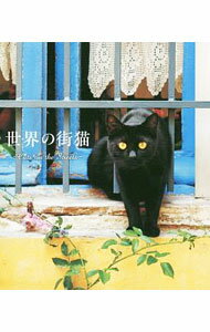 【中古】世界の街猫 / パイインターナショナル (新書)