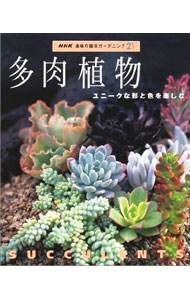 【中古】多肉植物 /
