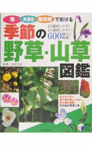 【中古】 きのこ: 小林路子画集