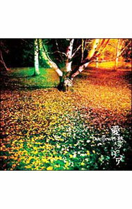 【中古】Duel　Jewel/ 【CD＋DVD】愛愁メランコリア｜Life　On…　（GONE　SIDE）