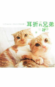 ����šۼ��ޤ췻�� / ���������ȥ� (����)