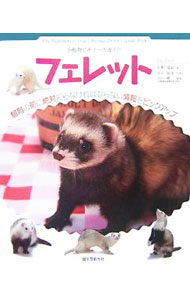 【中古】フェレット / 大野瑞絵