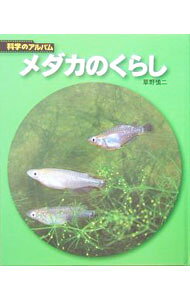 【中古】メダカのくらし / 草野慎二
