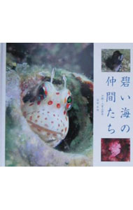 &nbsp;&nbsp;&nbsp; 碧い海の仲間たち 単行本 の詳細 カテゴリ: 中古本 ジャンル: 産業・学術・歴史 生物学 出版社: 芳賀書店 レーベル: 作者: 依田和明 カナ: アオイウミノナカマタチ / ヨダカズアキ サイズ: 単行本 ISBN: 4826130392 発売日: 2000/08/01 関連商品リンク : 依田和明 芳賀書店