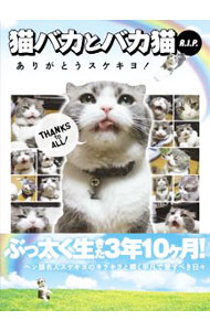 ����š�ǭ�Х��ȥХ�ǭR��I��P�� / �ˤ硼������ (����)