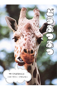 【中古】どうぶつぶつ / たちばなれんじ【写真】／リリー・フランキー (単行本)