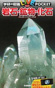 【中古】岩石・鉱物・化石 /