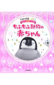&nbsp;&nbsp;&nbsp; もふもふ動物の赤ちゃん 単行本 の詳細 カテゴリ: 中古本 ジャンル: 産業・学術・歴史 動物 出版社: 学研プラス レーベル: 作者: 小宮輝之 カナ: モフモフドウブツノアカチャン / コミヤテルユキ サイズ: 単行本 ISBN: 4052050374 発売日: 2020/05/01 関連商品リンク : 小宮輝之 学研プラス